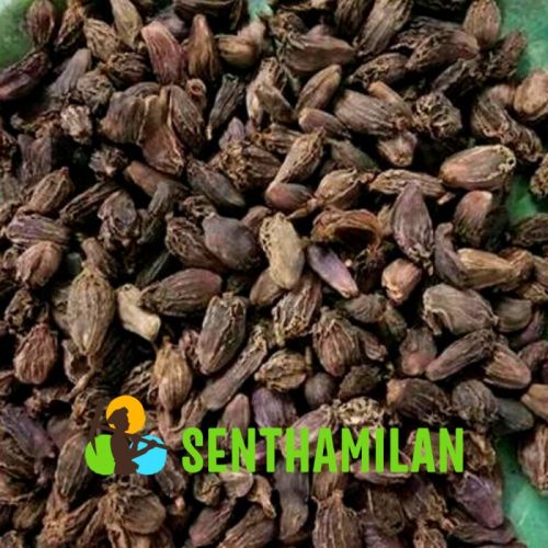 Black Cardamom, Certification : ISO 9001:2008 Certified