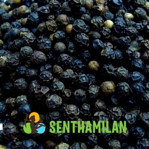 Raw Common Black Pepper (12mm), For Food Medicine, Spices, Cooking