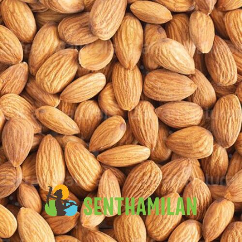 Senthamilan California Independence Almonds, Shelf Life : 12 Months