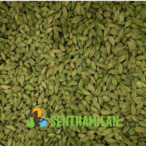 Senthamilan Common Green Cardamom 5.5mm-6.5mm, For Food Beverages