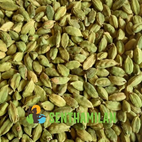 Senthamilan Common Green Cardamom, For Food Beverages