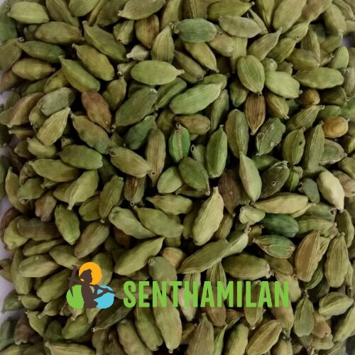 Common Green Cardamom 8mm Bold, For Food Beverages