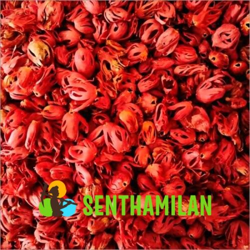 Mace Flower, Style : Dried