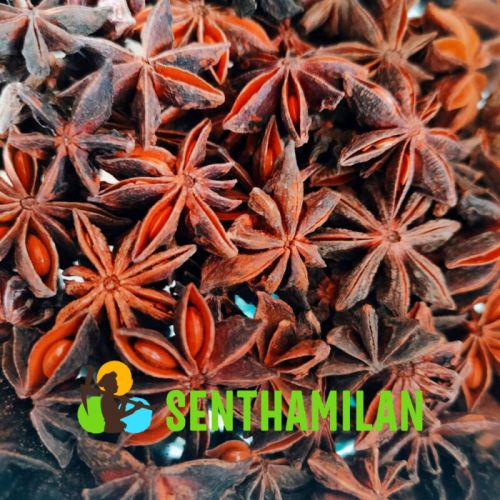 Star Anise, Certification : ISO 9001:2008 Certified