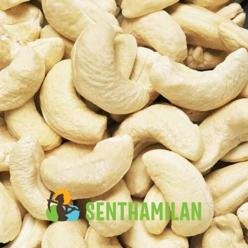 Senthamilan Plain w180 Cashew Nuts, Packaging Size : 10 Kg