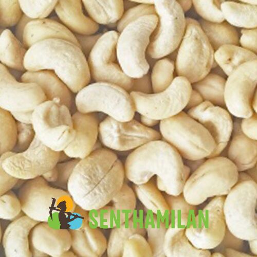 Senthamilan W450 Imported Cashew Nuts, For Food Beverages