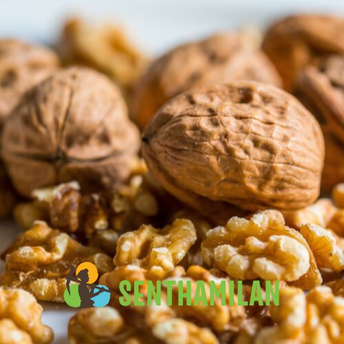 Senthamilan Walnut (Soft Shell), Shelf Life : 12 Months
