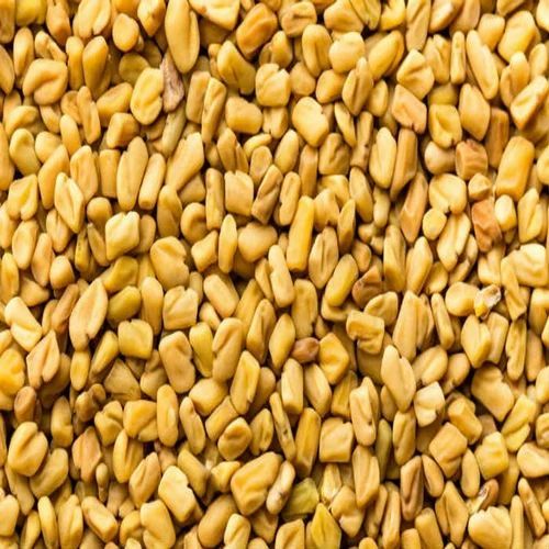 Organic Fenugreek Seeds, For Spices, Cooking, Grade Standard : Food Grade