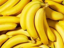 Fresh Banana, Packaging Size : 20kg, Packaging Type : Carton Box