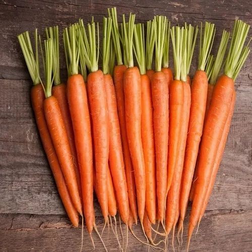 Fresh Carrot