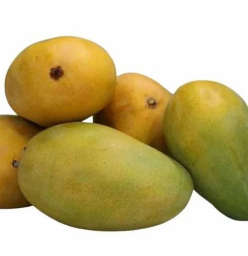 Organic Fresh Mango, Shelf Life : 5-10Days