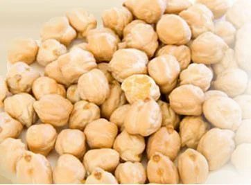 Organic Garbanzo Beans, Packaging Type : Plastic Bag for Cooking