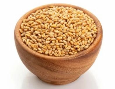 Wheat Seeds, Feature : Natural Taste