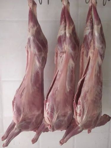 Fresh Whole Mutton, For Hotel, Restaurant, Packaging Type : Bag