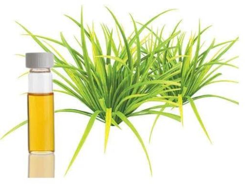 Citronella Oil, Packaging Type : Bottle