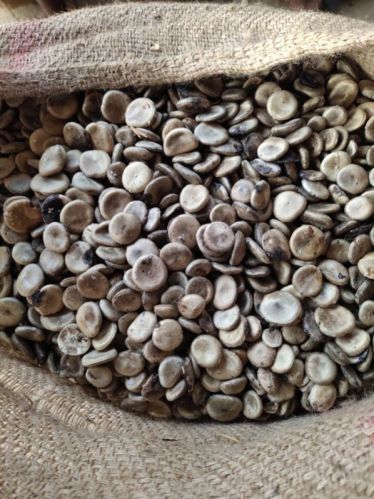 Svm Exports Brown Best Nux Vomica Seeds