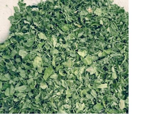 Organic Drumstick Leaves, For Medicines, Style : Dried