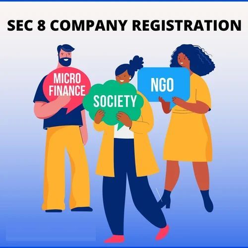 Ngo Section 8 Company Registration Services