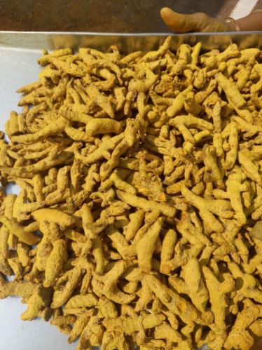 Raw Turmeric, Color : Yellow