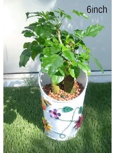 Iron Flower Pot
