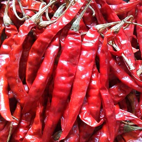 Organic Red Chilli Dry, For Spices, Food Medicine, Packaging Size : 250gm, 500gm, 25 Kgs