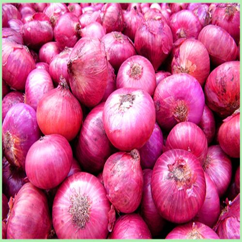 Round Organic Onion, For Cooking, Hotels, Certification : FSSAI Certified