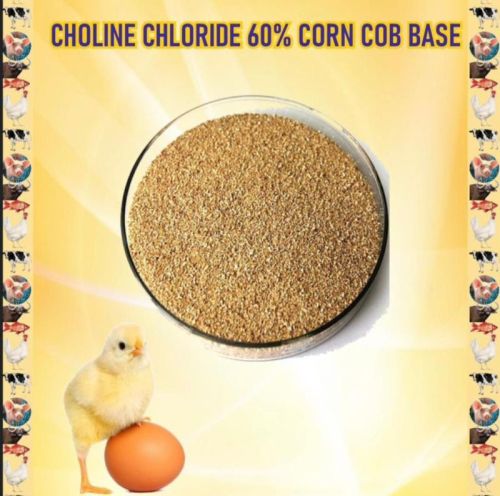 Choline Chloride, Packaging Type : 25 KG