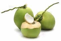 Green Natural Hard Fresh Tender Coconut, For Free From Impurities, Freshness