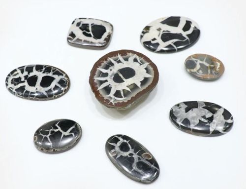 Black Septarian Cabochons, Color:black and White