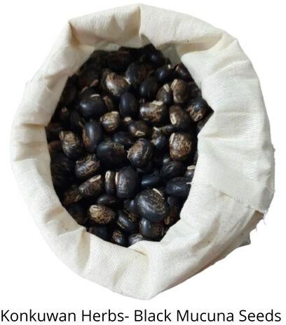 Black Mucuna Pruriens Seed, Packaging Type : Bag