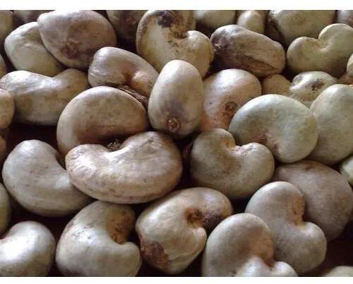 Organic Raw Cashew Nuts