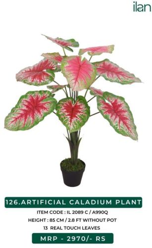 ARTIFICIAL CALADIUM PLANT, Size : 2.8 FT