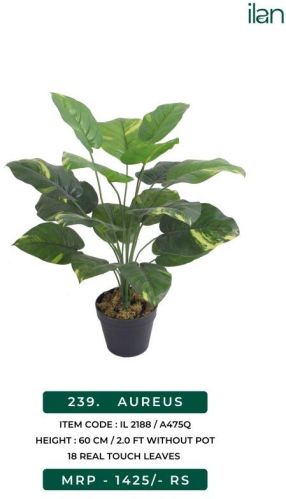 Aureus Artificial Plant, Size : 2 FT