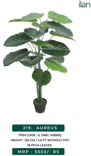 Aureus 2168 Decorative Plant, Size : 4 FT