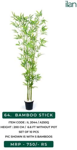 ILAN GREEN Bamboo Stick Plant, For Office, Home, Size : 6.6 FT