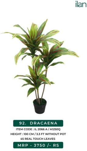 Dracaena 2066 A Artificial Plant, Size : 3.3 FT