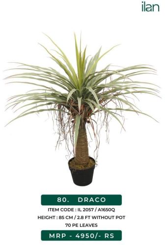 Draco Artificial Plants, Size : 2.8 FT
