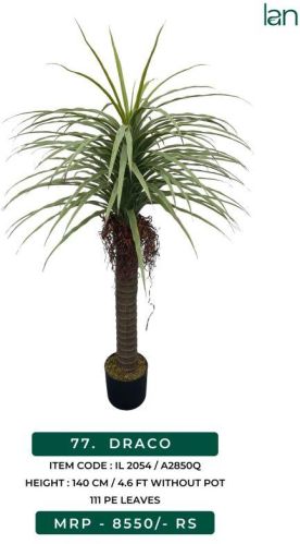Draco 2054 Artificial Plants, Size : 4.6 FT