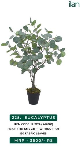 Eucalyptus 2174 Artificial Plants, Size : 2.8 FT