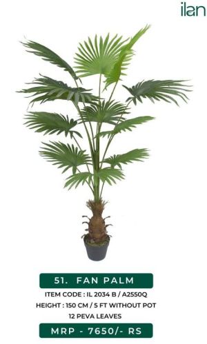 Fan Palm 2034 B Decorative Plants, Size : 5 FT