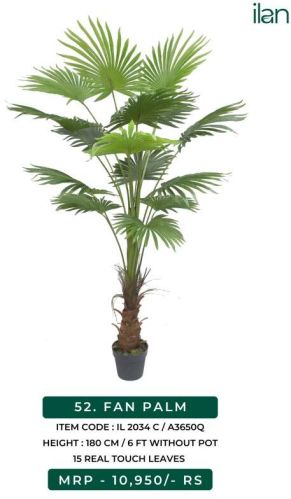 Fan Palm 2034 C Artificial Plants, Size : 6 FT