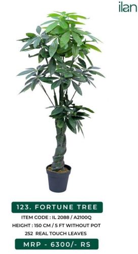FORTUNE TREE 2088, Size : 5 FT