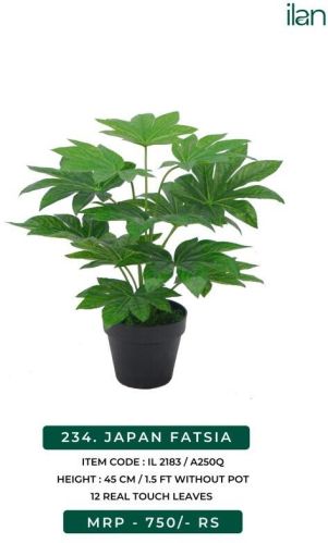 Japan Fatsia Artificial Plants, Feature : Easy Washable