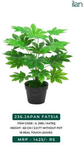 Japan Fatsia 475 Artificial Plant, Size : 2 FT