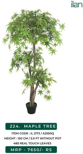 Maple 2173 Artificial Plants, Size : 5 FT