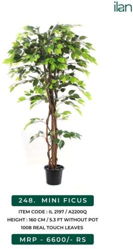 Mini Ficus 2197 Decorative Artificial Plants, Size : 5.3 FT