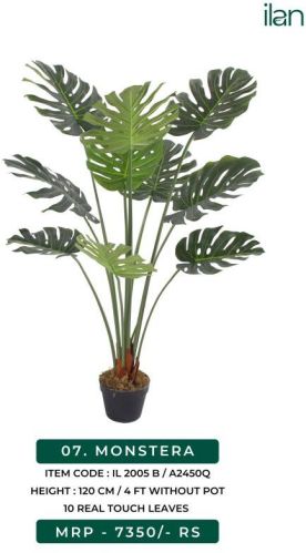 Monstera 2005 B Artificial Plants, Size : 4 FT