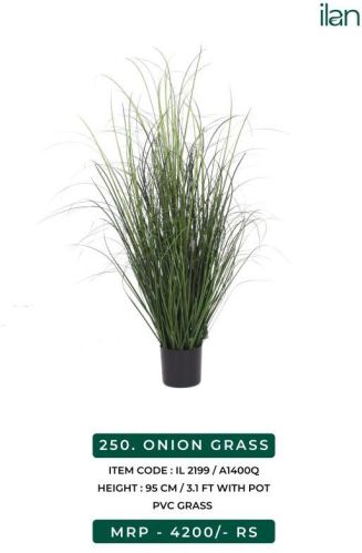 ONION GRASS, Feature : Easy Washable