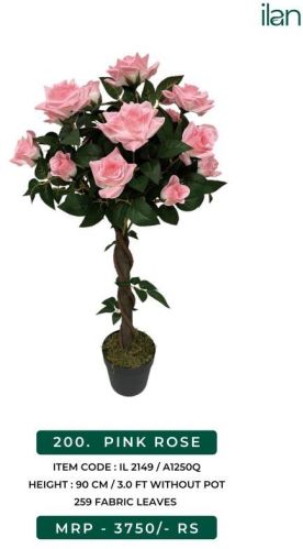 PINK ROSE, Occasion : Mall