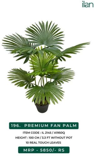 Premium Fan Palm 2145 Decorative Plants, Size : 3.3 FT